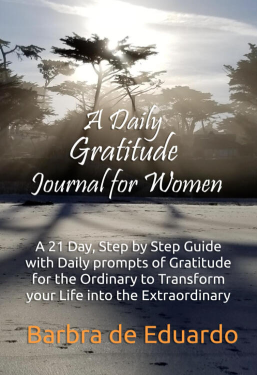 Daily Gratitude Journal Daily Gratitude Journal
